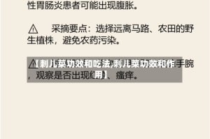 【刺儿菜功效和吃法,刺儿菜功效和作用】