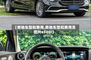 【奔驰车型和费用,奔驰车型和费用及图片e300l】