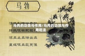 马肉的功效与作用/马肉的功效与作用吃法