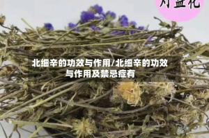 北细辛的功效与作用/北细辛的功效与作用及禁忌症有