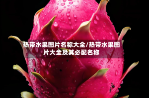 热带水果图片名称大全/热带水果图片大全及其必配名称