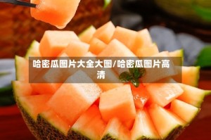哈密瓜图片大全大图/哈密瓜图片高清