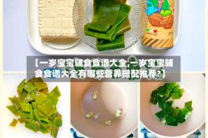 【一岁宝宝辅食食谱大全,一岁宝宝辅食食谱大全有哪些营养搭配推荐?】