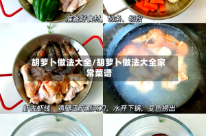 胡萝卜做法大全/胡萝卜做法大全家常菜谱