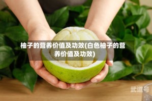 柚子的营养价值及功效(白色柚子的营养价值及功效)