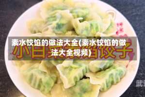 素水饺馅的做法大全(素水饺馅的做法大全视频)