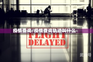 疫情查询/疫情查询轨迹叫什么