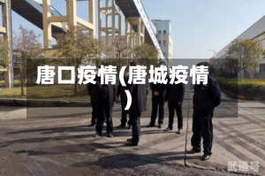唐口疫情(唐城疫情)