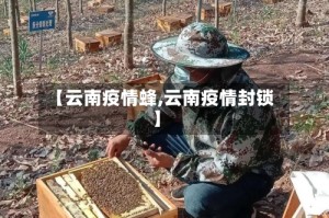 【云南疫情蜂,云南疫情封锁】