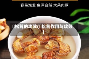 姖松茸的功效(姖松茸作用与攻效)
