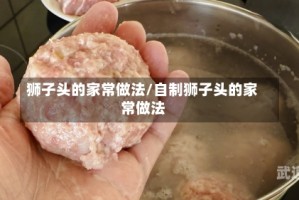 狮子头的家常做法/自制狮子头的家常做法