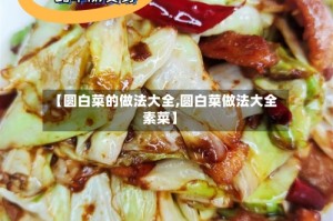 【圆白菜的做法大全,圆白菜做法大全素菜】