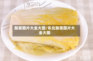 酸菜图片大全大图/东北酸菜图片大全大图