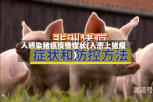 人感染猪瘟疫情症状(人患上猪瘟)