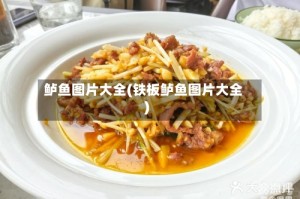 鲈鱼图片大全(铁板鲈鱼图片大全)