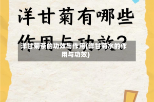 洋甘菊茶的功效与作用(洋甘菊水的作用与功效)