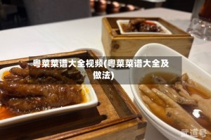 粤菜菜谱大全视频(粤菜菜谱大全及做法)