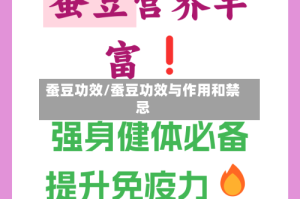 蚕豆功效/蚕豆功效与作用和禁忌