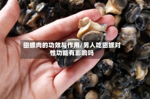 田螺肉的功效与作用/男人吃田螺对性功能有影响吗