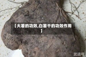 【大薯的功效,白薯干的功效作用】