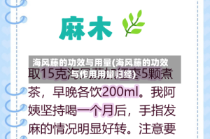 海风藤的功效与用量(海风藤的功效与作用用量归经)