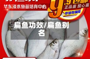 扁鱼功效/扁鱼别名