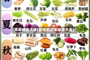 青菜种类大全(常吃的蔬菜种类大全)