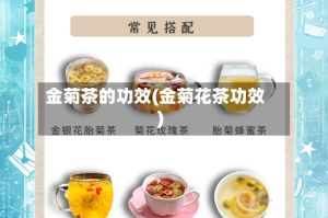 金菊茶的功效(金菊花茶功效)
