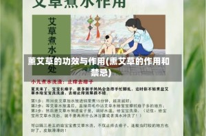 薰艾草的功效与作用(熏艾草的作用和禁忌)