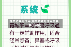 细辛功效与作用(细辛功效与作用主要治什么病)