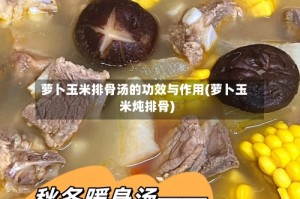 萝卜玉米排骨汤的功效与作用(萝卜玉米炖排骨)