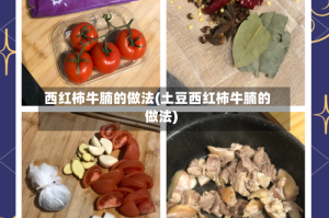 西红柿牛腩的做法(土豆西红柿牛腩的做法)
