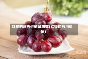 红提的营养价值及功效(红提的药用价值)