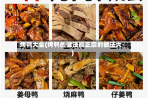 烤鸭大全(烤鸭的做法最正宗的做法大)