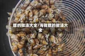 螺的做法大全/海锥螺的做法大全