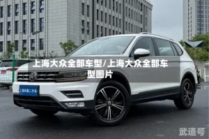 上海大众全部车型/上海大众全部车型图片