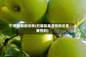 烂酸梨的功效(烂酸梨是温性的还是寒性的)
