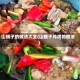 山蛾子的做法大全(山蛾子炖鸡的做法)