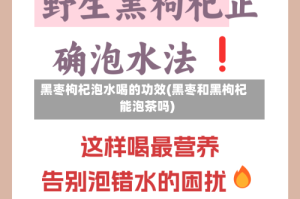 黑枣枸杞泡水喝的功效(黑枣和黑枸杞能泡茶吗)