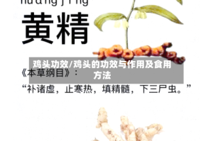 鸡头功效/鸡头的功效与作用及食用方法