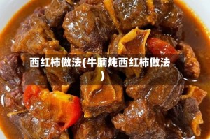 西红柿做法(牛腩炖西红柿做法)