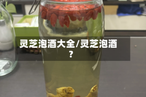 灵芝泡酒大全/灵芝泡酒?
