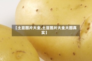 【土豆图片大全,土豆图片大全大图真实】