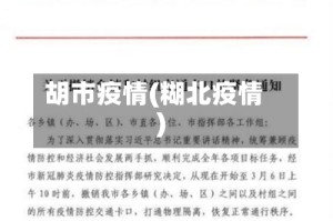 胡市疫情(糊北疫情)