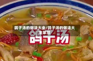 鸽子汤的做法大全/鸽子汤的做法大全家常