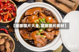 【猪蹄图片大全,猪蹄图片素材】