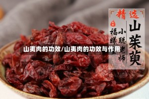 山夷肉的功效/山夷肉的功效与作用