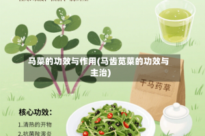 马菜的功效与作用(马齿苋菜的功效与主治)