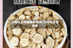 川芎白芷炖猪脑的功效/川芎白芷煲猪骨