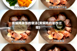 黄焖鸡米饭的做法(黄焖鸡的制作过程)